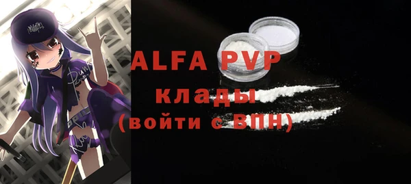хмурый Инсар