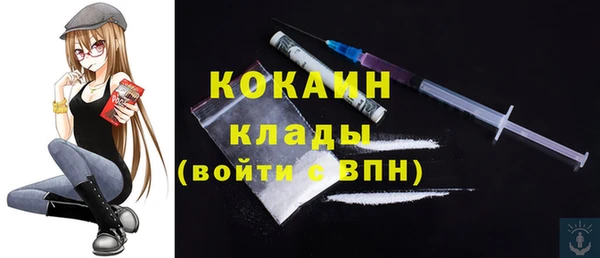 хмурый Инсар
