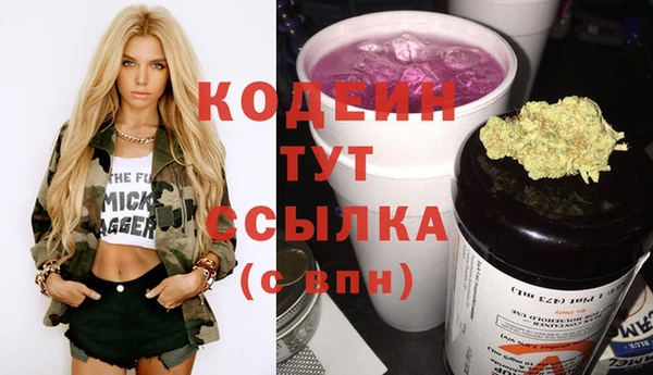 хмурый Инсар