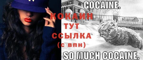 хмурый Инсар