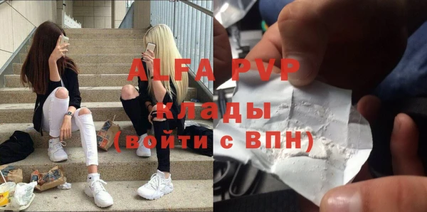 хмурый Инсар