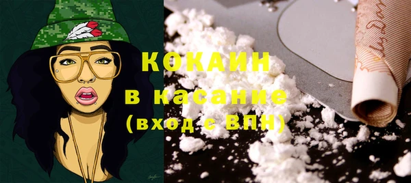 хмурый Инсар