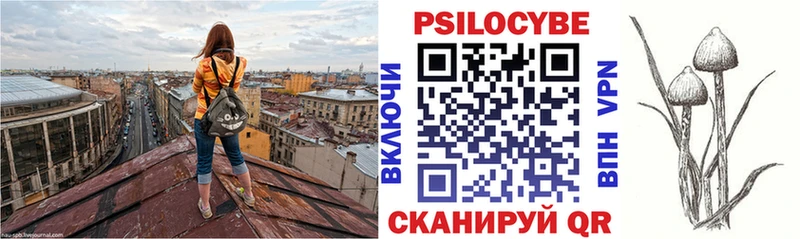 Купить где  Ленинск-Кузнецкий  Галлюциногенные грибы прущие грибы 